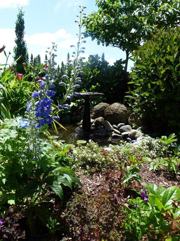 Hadleigh Boutique Lodge Tamahere Экстерьер фото