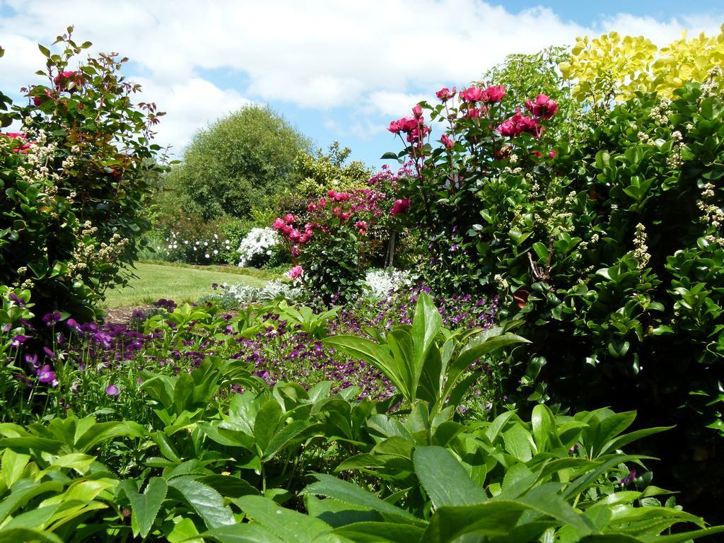 Hadleigh Boutique Lodge Tamahere Экстерьер фото
