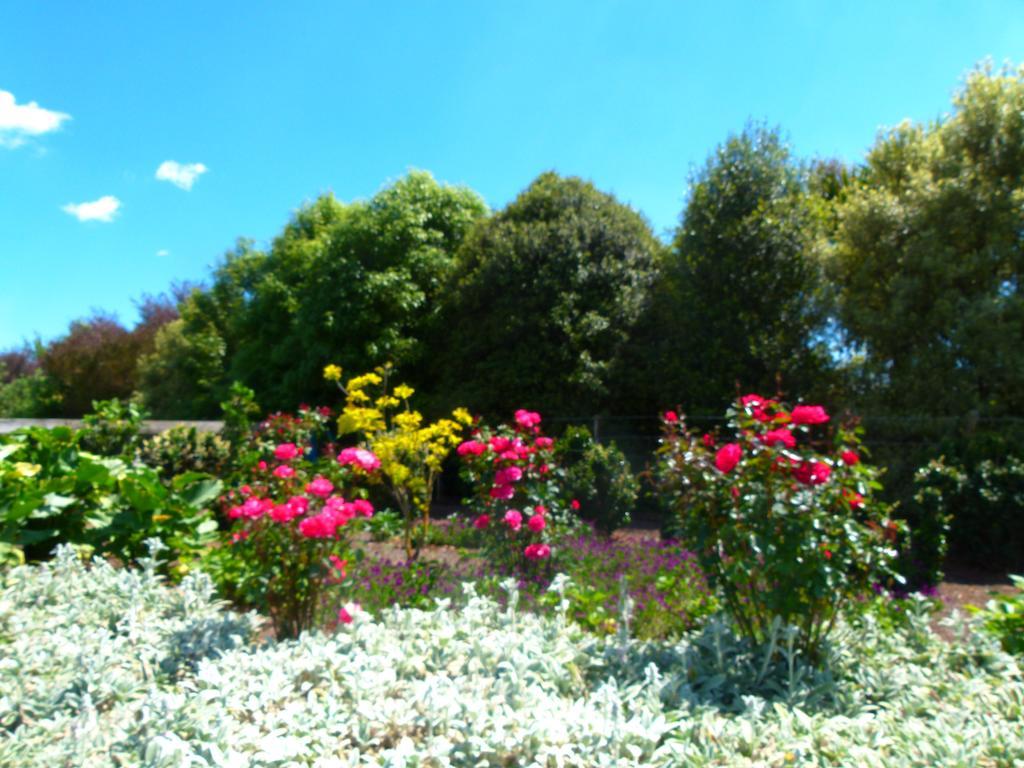 Hadleigh Boutique Lodge Tamahere Экстерьер фото