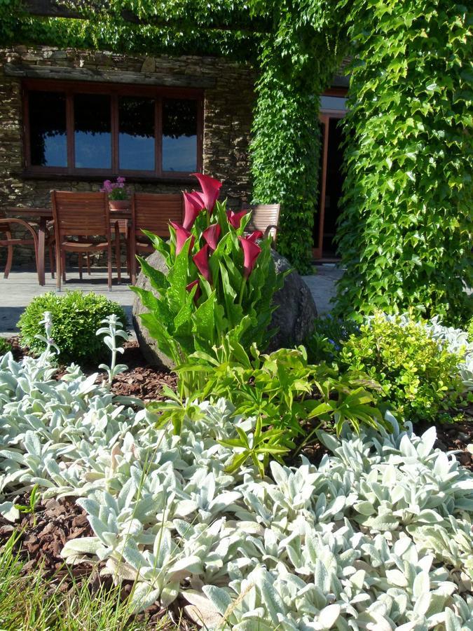 Hadleigh Boutique Lodge Tamahere Экстерьер фото