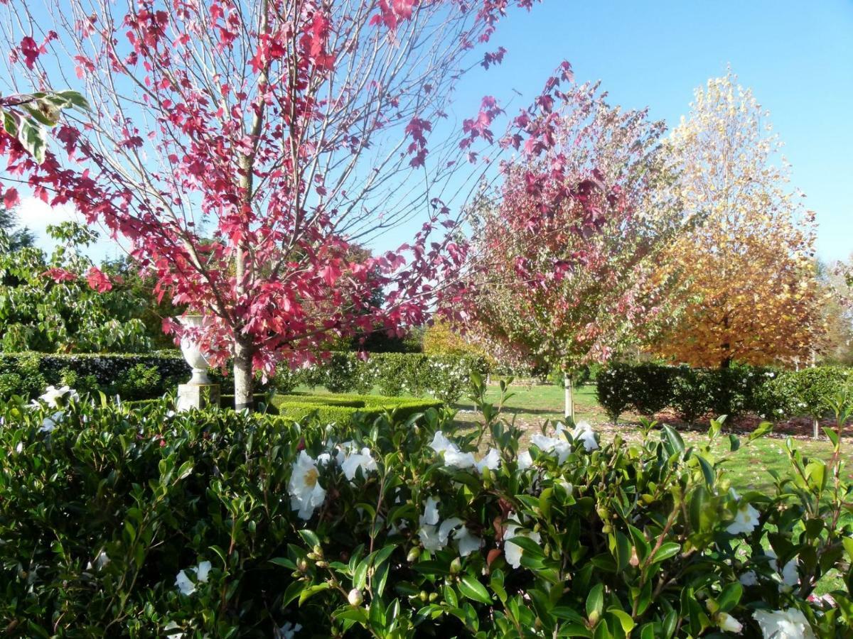 Hadleigh Boutique Lodge Tamahere Экстерьер фото